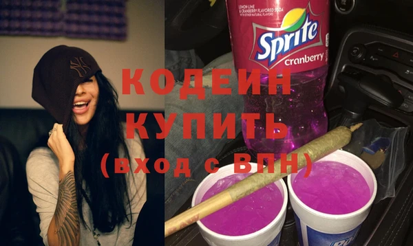 ГАЛЛЮЦИНОГЕННЫЕ ГРИБЫ Верея