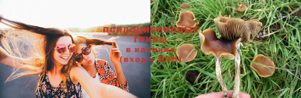 гидра Бугульма