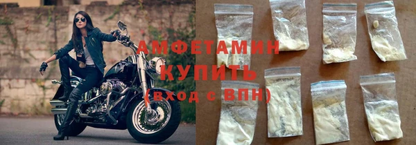 прущие грибы Бронницы