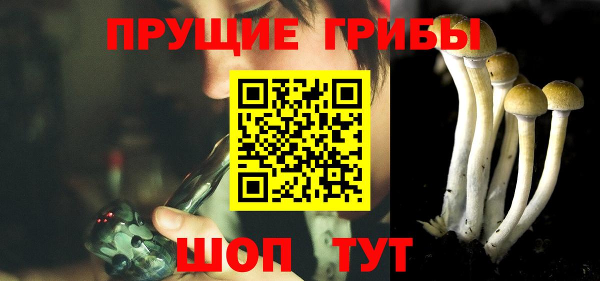Галлюциногенные грибы MAGIC MUSHROOMS Верхняя Пышма